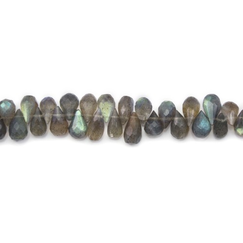 Labradorite grise, en forme de briolette facetté, 5.5 * 8.5mm x 40cm