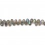 Labradorite grise, en forme de briolette facetté, 5.5 * 8.5mm x 40cm
