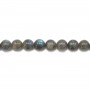 Labradorite Ronde 14mm x 40cm