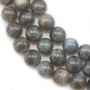 Labradorite Ronde 16mm x 40cm