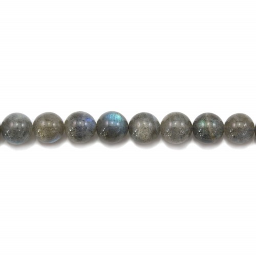 Labradorite Round 16mm x 1pc 