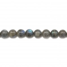 Labradorite Ronde 16mm x 1pc