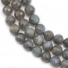 Labradorite Faceted Round 8mm x 40cm