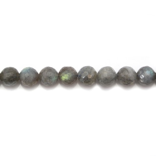 Labradorite Ronde Facette 10mm x 2pcs