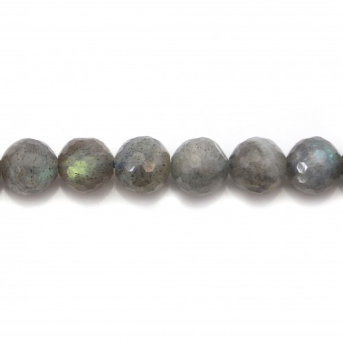 Labradorite Ronde Facette 12mm x 2pcs