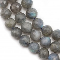 Labradorite Ronde Facette 12mm x 40cm