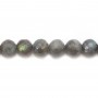 Labradorite Faceted Round 12mm x 40cm