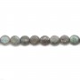 Labradorite Ronde Plate 10mm x  4pcs