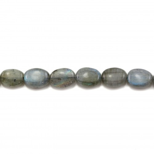 Labradorite Ovale 13x18mm x 2pc