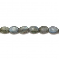 Labradorite Ovale 13x18mm x 2pc