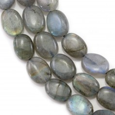 Labradorite Ovale 13x18mm x 40cm