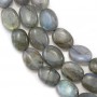 Labradorite Ovale 13x18mm x 40cm