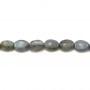 Labradorite Ovale 13x18mm x 40cm