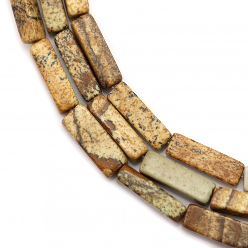 Picture jasper tube 4x13mm x 40cm 