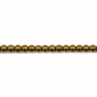 Hématite gold gilt round 2mm x40cm
