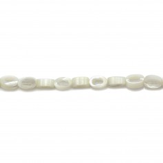 White mother-of-pearl hollow oval beads on thread 4x6mm x 40cm
