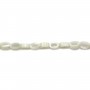 White mother-of-pearl hollow oval beads on thread 4x6mm x 40cm