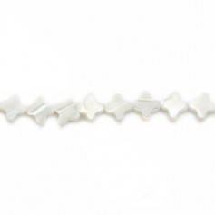 Nacre blanche en trèfle 6mm x 40cm (67pcs)