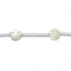 Nacre blanche en forme de rose 8mm x 2pcs