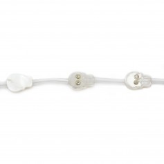 Cornelian Flat Round 12mm x 40cm