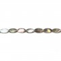 Nacre grise en forme d'ovale facetté 8x16mm x 4 pcs