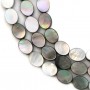 Gray mother-of-pearl oval beads on thread 8x10mm x 40cm