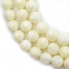 White mother-of-pearl round beads on thread 12mm x 40cm