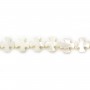 Nacre blanche en forme de croix 8mm x 4 st