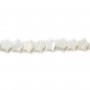 Nacre blanche en forme d'étoile 8mm x 4pcs