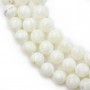 White mother-of-pearl round beads on thread 8mm x 40cm