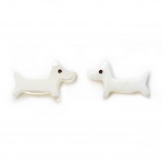 Nacre blanche en forme de chien 9x15mm x 1pc
