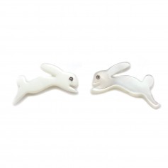 Nacre blanche en forme de lapin 8x15mm x 2pcs