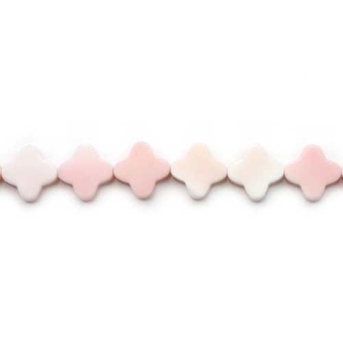 Lambi trèfle 11.5mm x 40cm