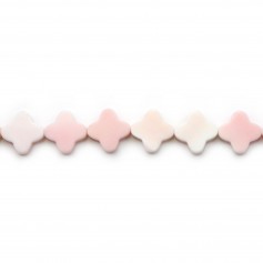 Lambi trèfle 11.5mm x 40cm