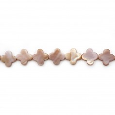 Nacre rose en forme de trèfle 13mm x 2pcs