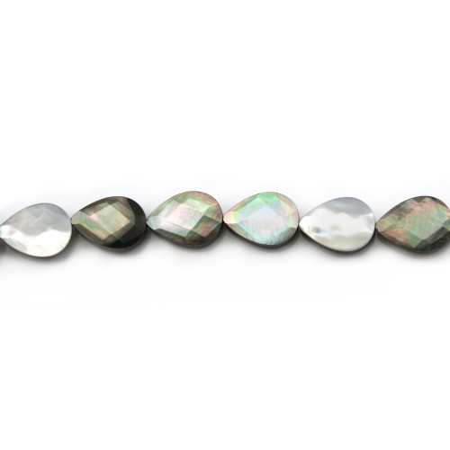 gray  shell with Faceted Flatted Teardrop 10x14mm x  4 pcs