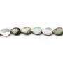 Grey shell faceted flat drop 10x14mm x 40cm 