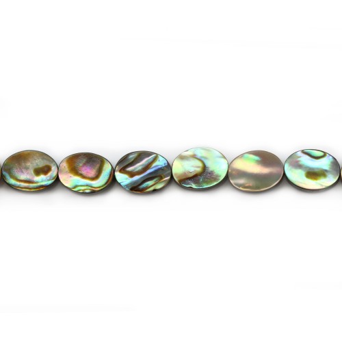 Nacre d'ormeau en oval 6x8mm x 10 pcs
