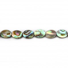 Nacre d'ormeau en ovale 6x8mm x 10 pcs