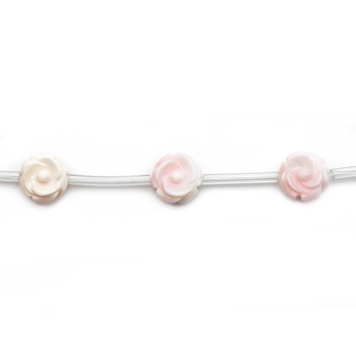 Lambi fleur 10mm x 40cm 