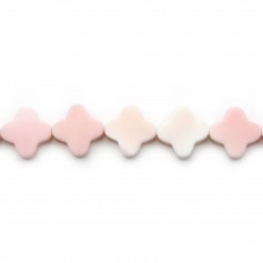 Lambi trèfle 13.5mm x 40cm