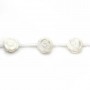 Nacre blanche en forme de rose sur fil 10mm x 40cm