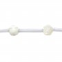 White mother-of-pearl rose beads on thread 8mm x 40cm