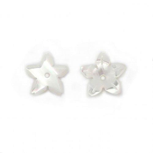 White mother-of-pearl 5 petal flower 8mm x 1pc
