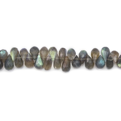 Labradorite drop briolette 6x9mm x 20cm