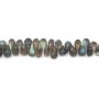 Labradorite goutte ronde facette 