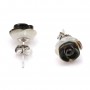 Earring silver 925 gray shell flower 10mm X2pcs