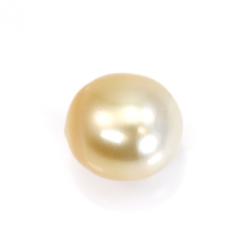 Südseeperle, Champagner, Olive/Oval 12.5-13mm x 1St