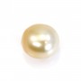South Sea Pearl, champagne, olive/oval 12.5-13mm x 1pc