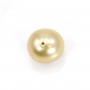 South Sea Pearl, champagne, olive/oval 12.5-13mm x 1pc